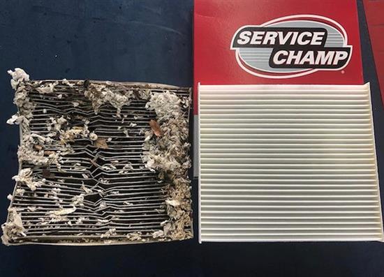 Cabin Filter Replacement